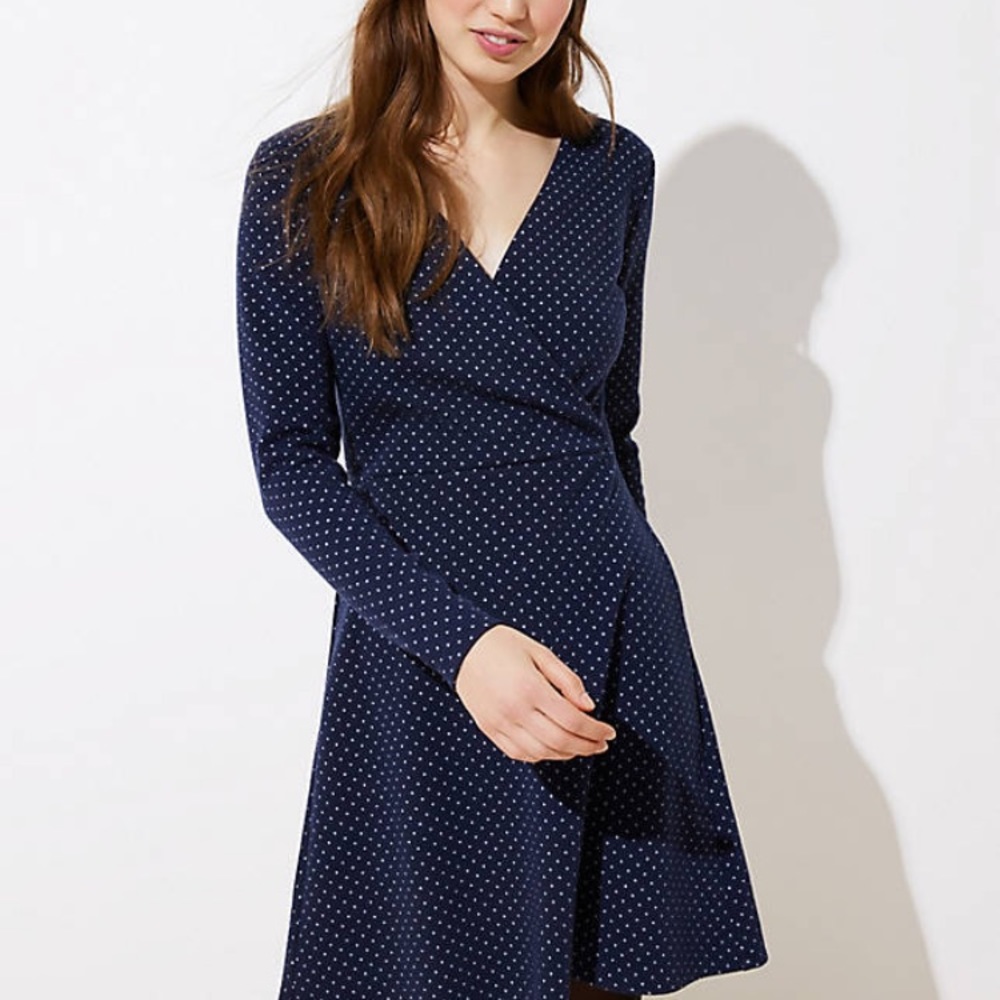 Loft A-line Dress